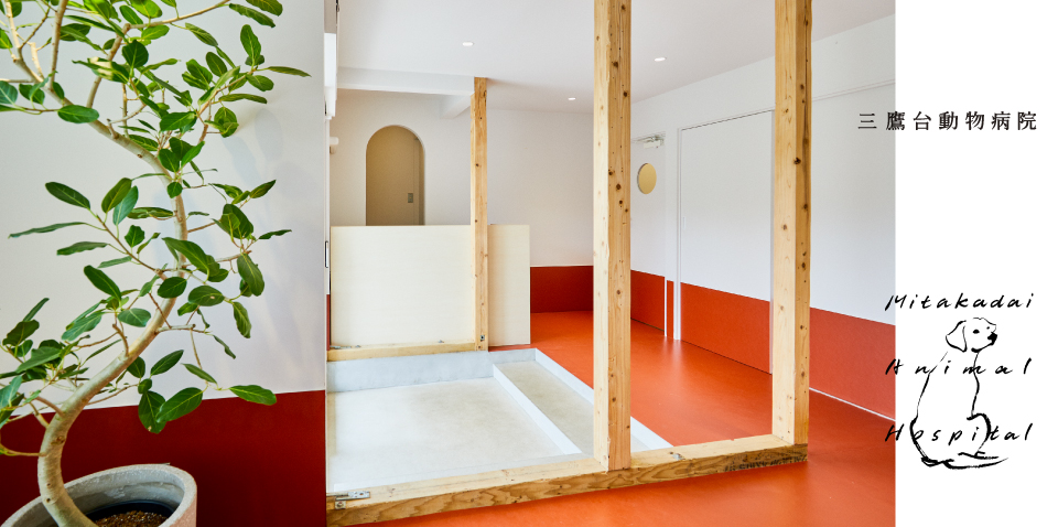 三鷹台動物病院