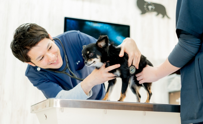 立川アステル動物病院