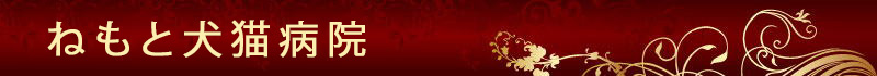 ねもと犬猫病院