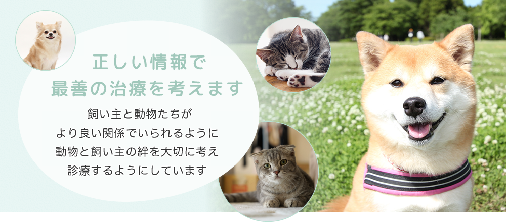 かわち動物病院