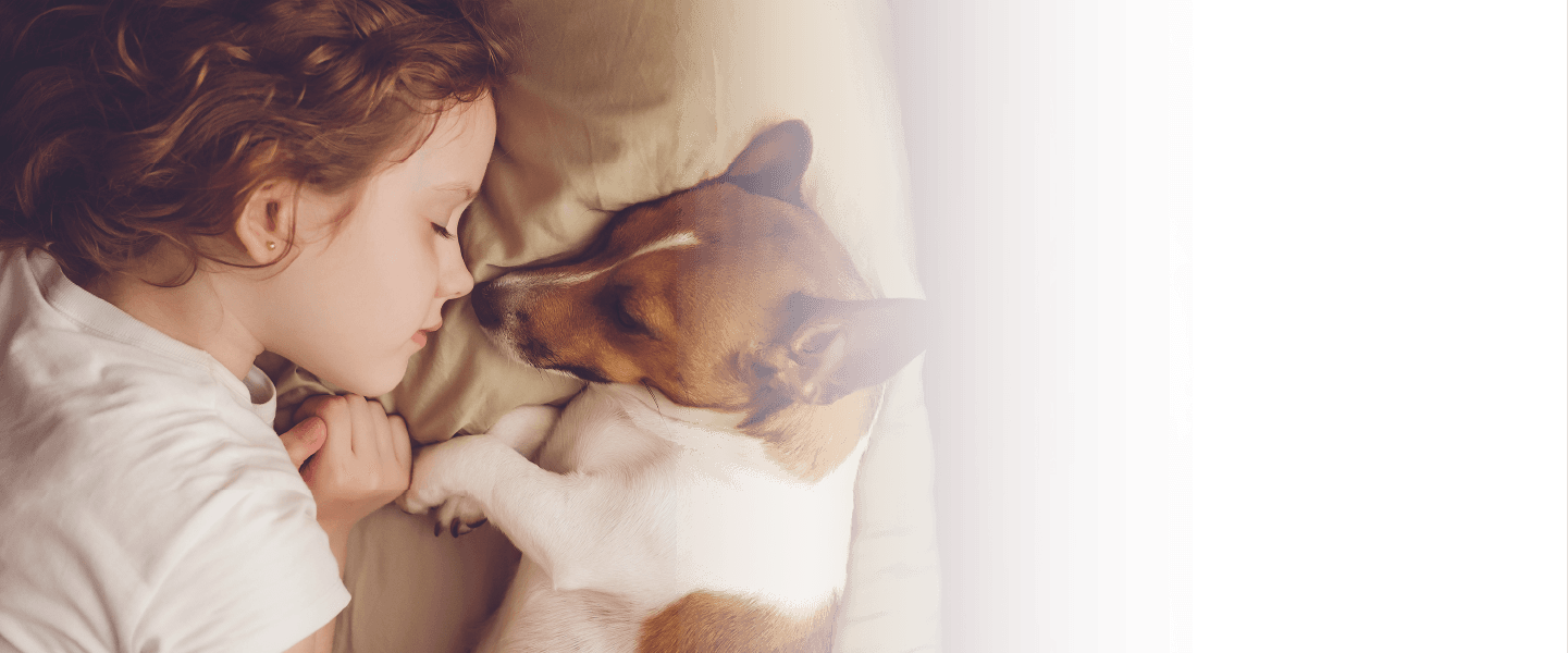 春山動物クリニック