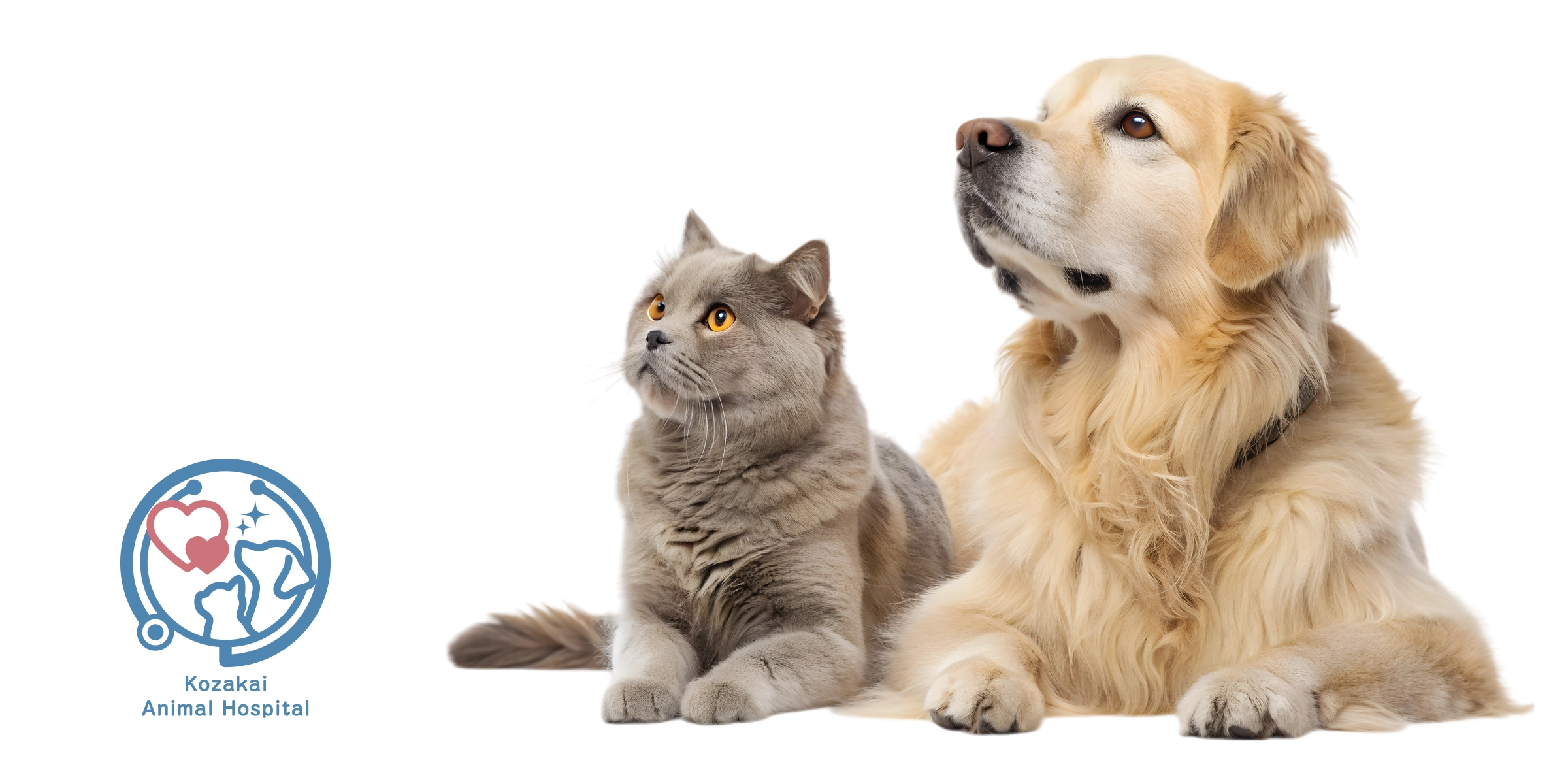 小坂井動物病院