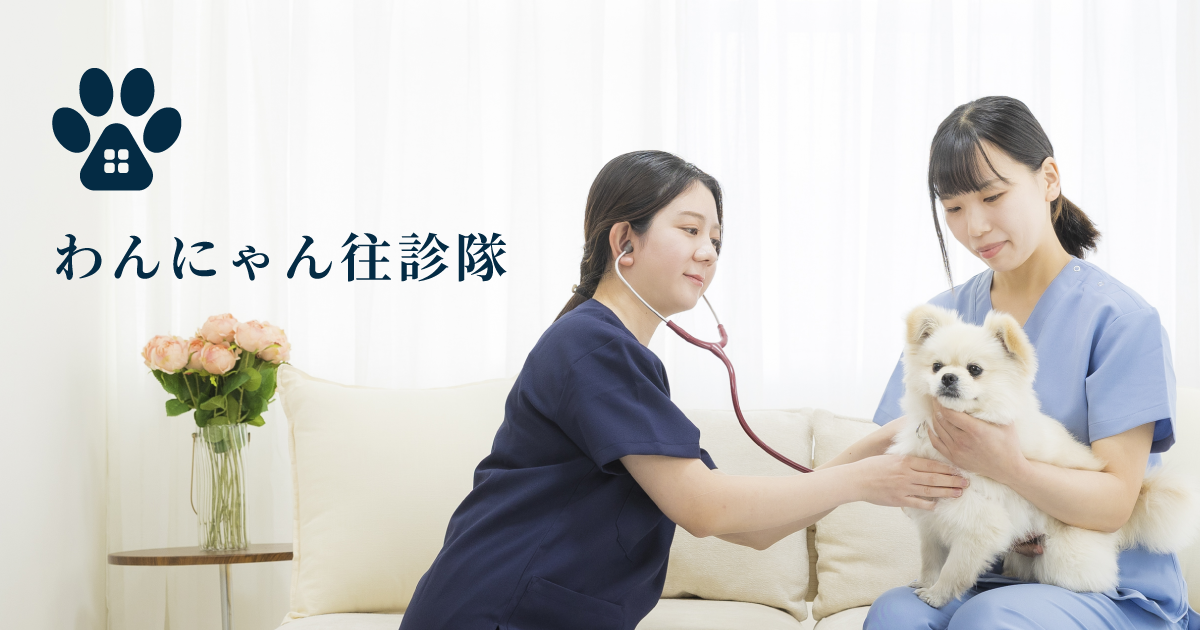 わんにゃん往診隊【往診専門】