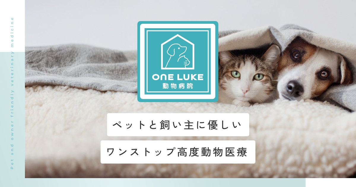 ワンルーク動物病院 名古屋どうぶつ皮膚科