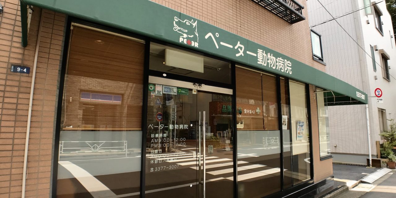 ペーター動物病院