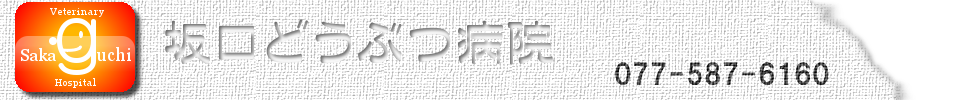 坂口どうぶつ病院