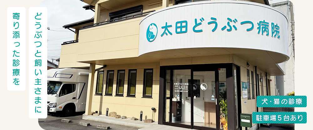 太田どうぶつ病院