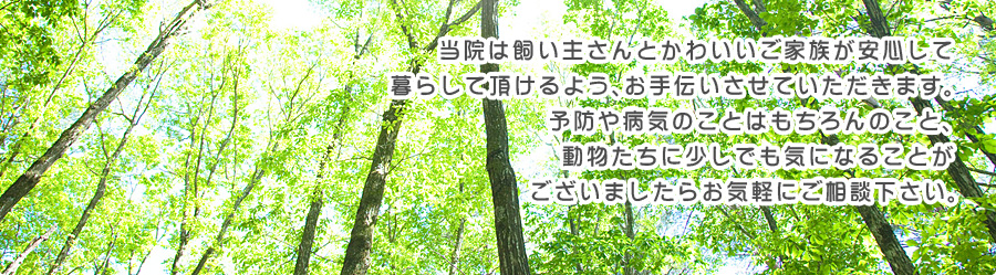 府中の森動物病院