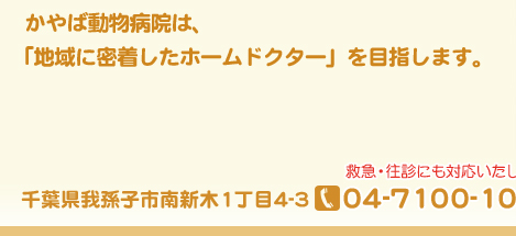 かやば動物病院