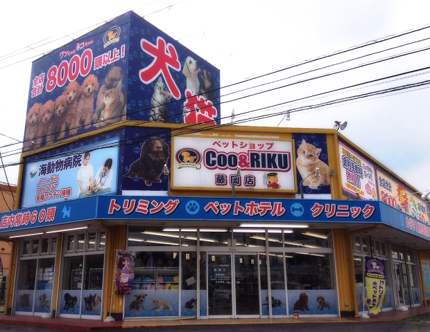 海動物病院　藤岡往診所