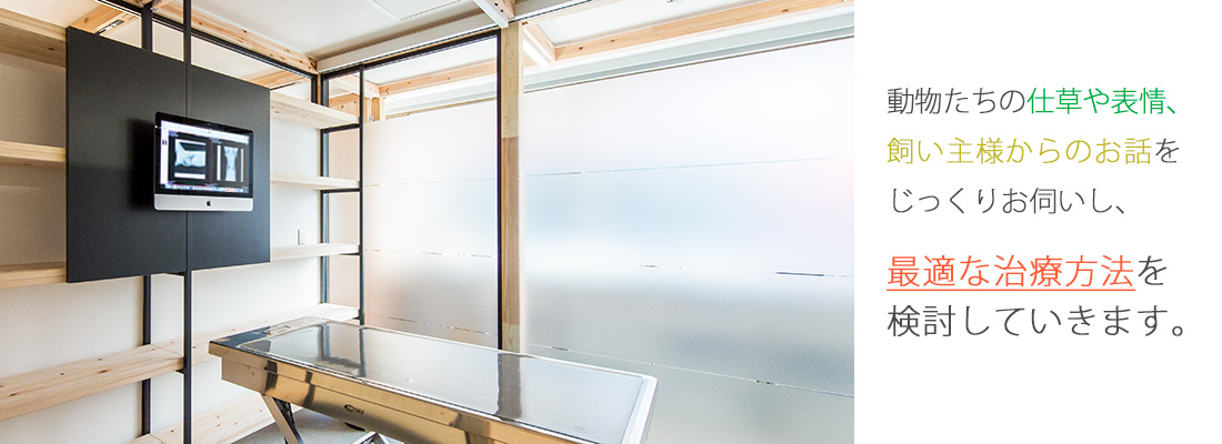 フェンネル動物病院 笹塚本院