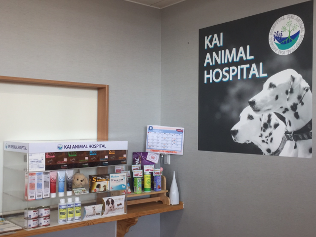 海動物病院　岩手盛岡往診所