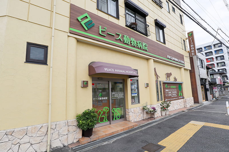 ピース動物病院
