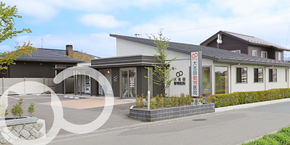 大志田動物医院