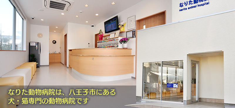 なりた動物病院