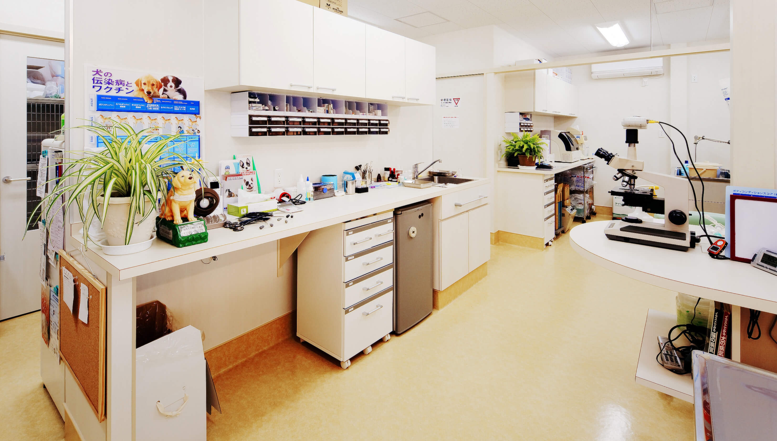 まつもと動物病院