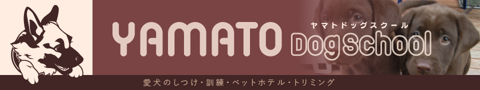 ヤマトドッグスクール