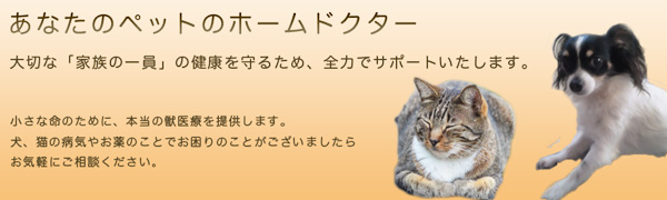 藤田獣医科病院