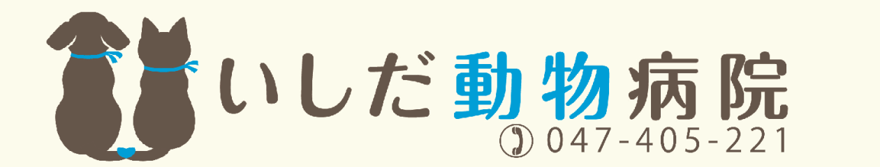 いしだ動物病院
