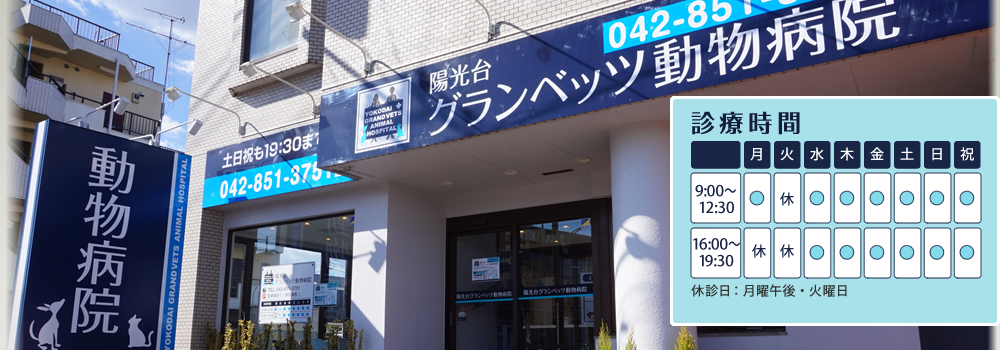 陽光台グランベッツ動物病院