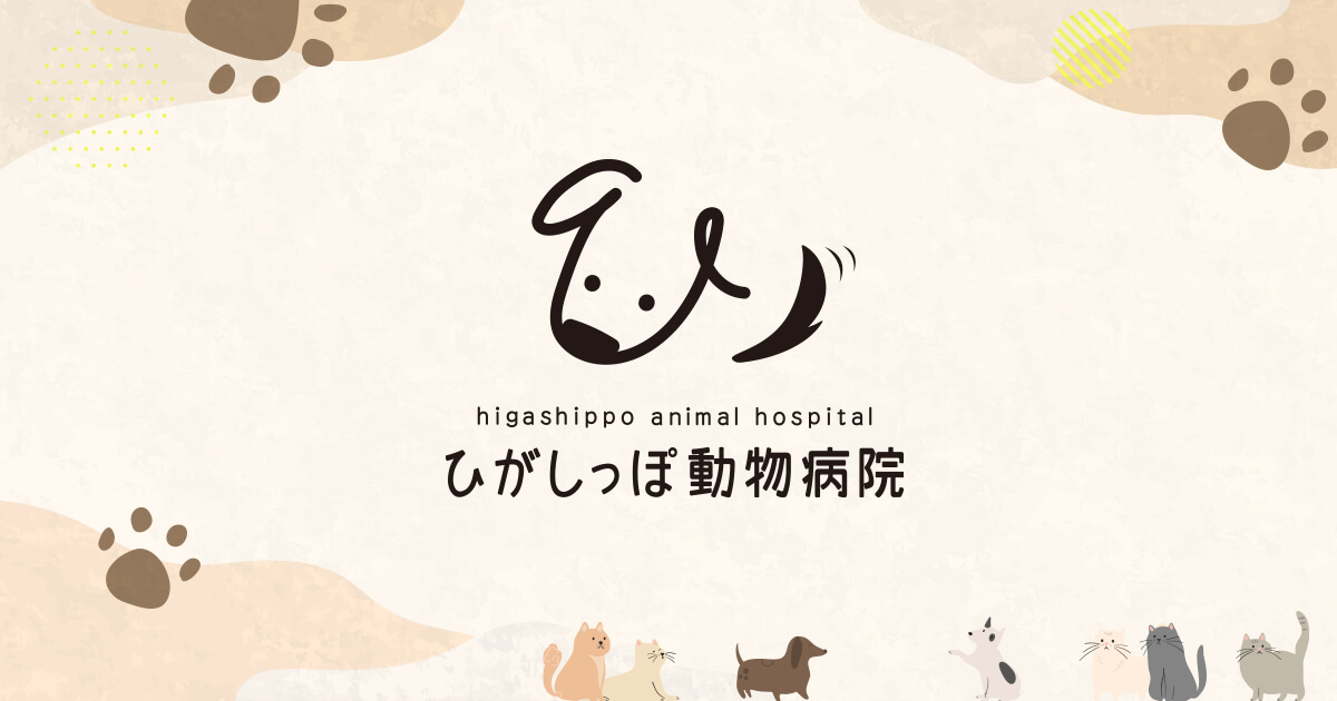 ひがしっぽ動物病院