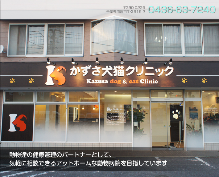 かずさ犬猫クリニック