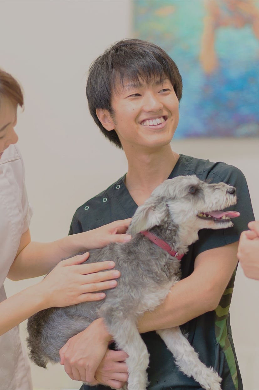 ポンポン動物病院