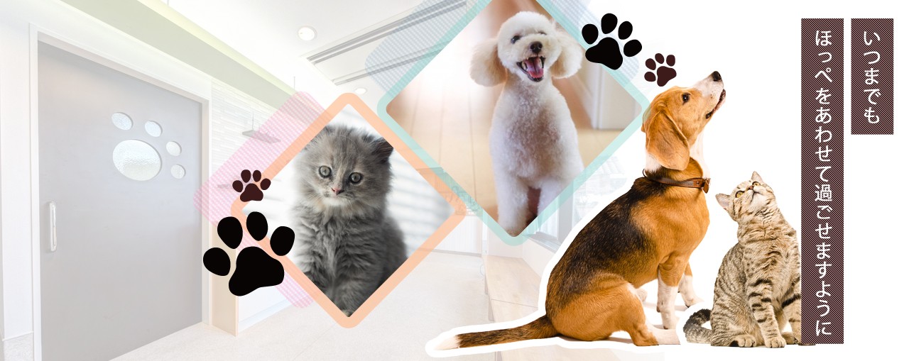 ほっぺ犬猫病院