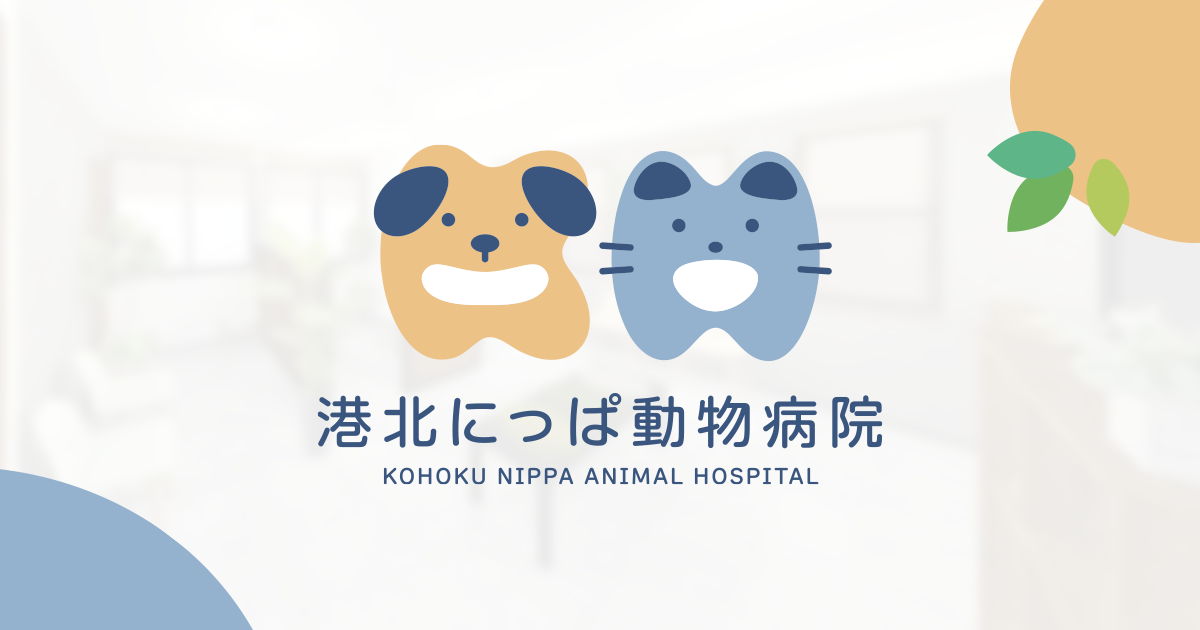 港北にっぱ動物病院