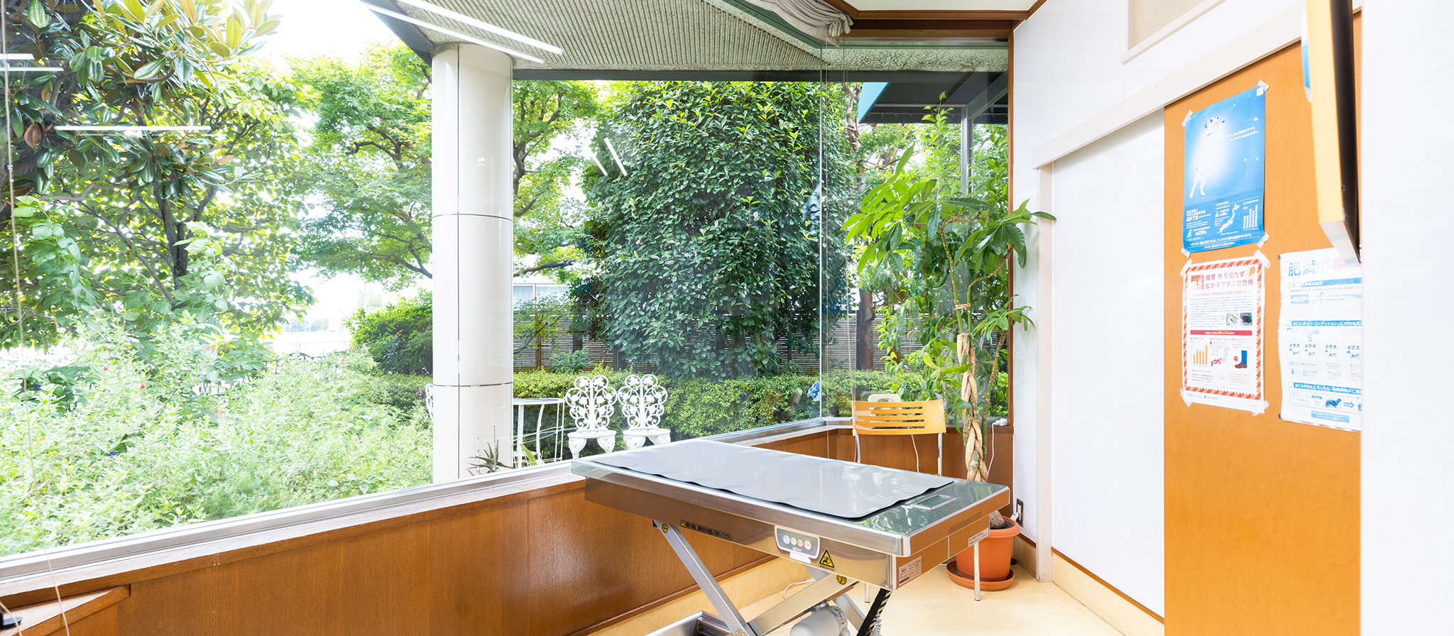 緑ヶ丘どうぶつ病院