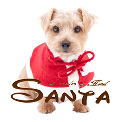 ドッグサロン サンタ