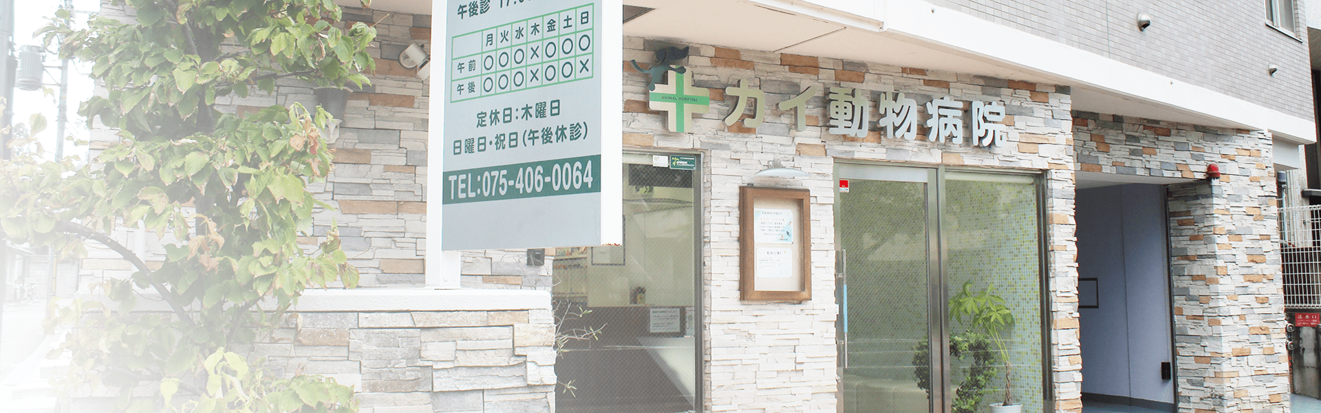 カイ動物病院