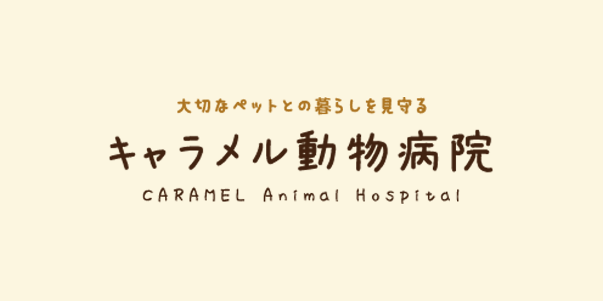 キャラメル動物病院