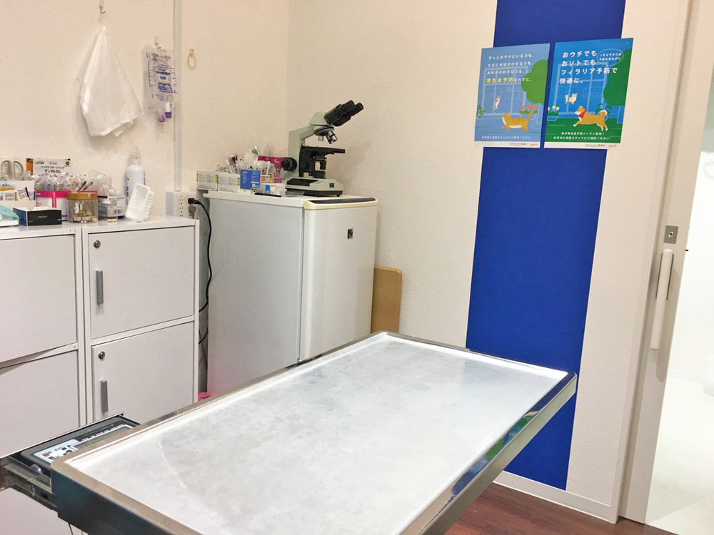 海動物病院　出雲往診所