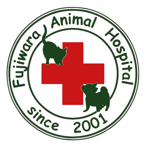 ふじわら動物病院