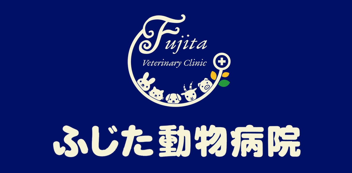 フジタ動物病院