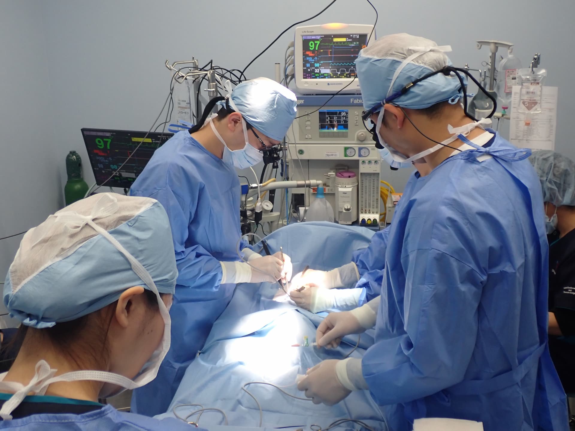 動物心臓外科センター