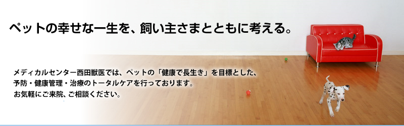 メディカルセンター西田獣医