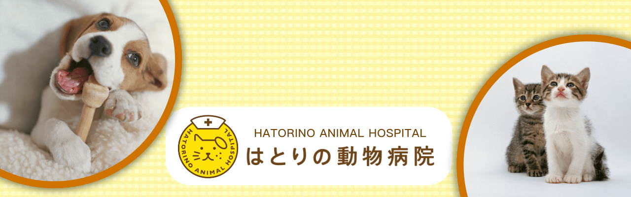 はとりの動物病院