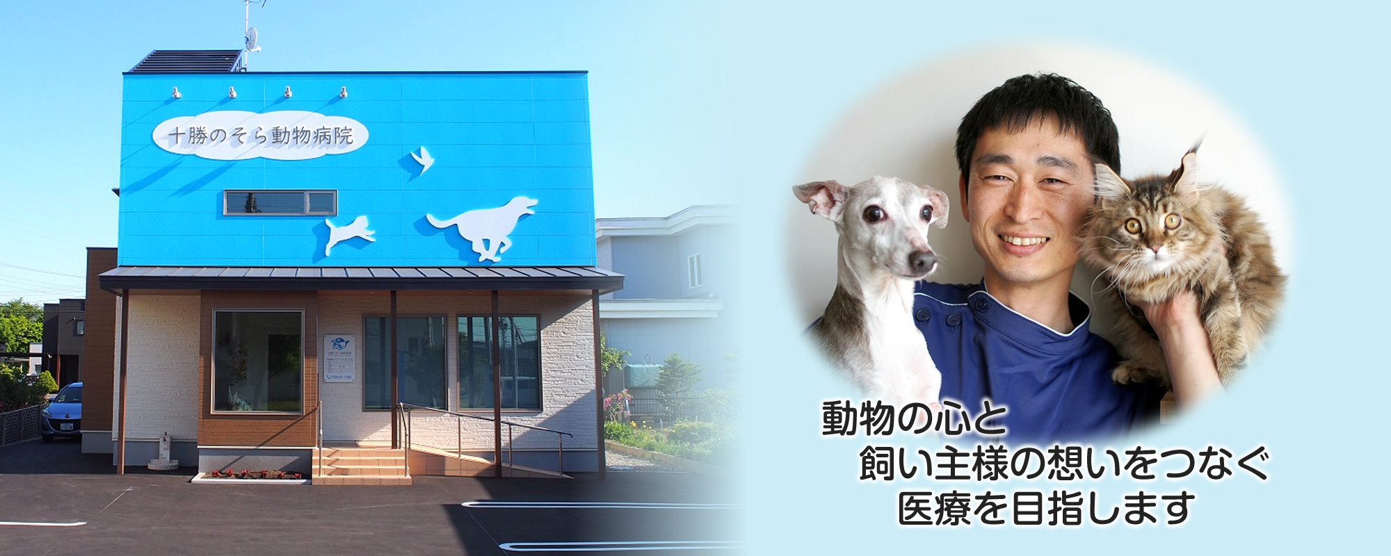 十勝のそら動物病院