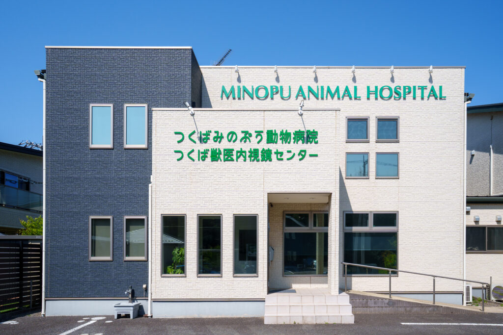 つくばみのぷう動物病院