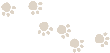 スペシャリストホームドクター 上池台動物病院グループ 沼津院