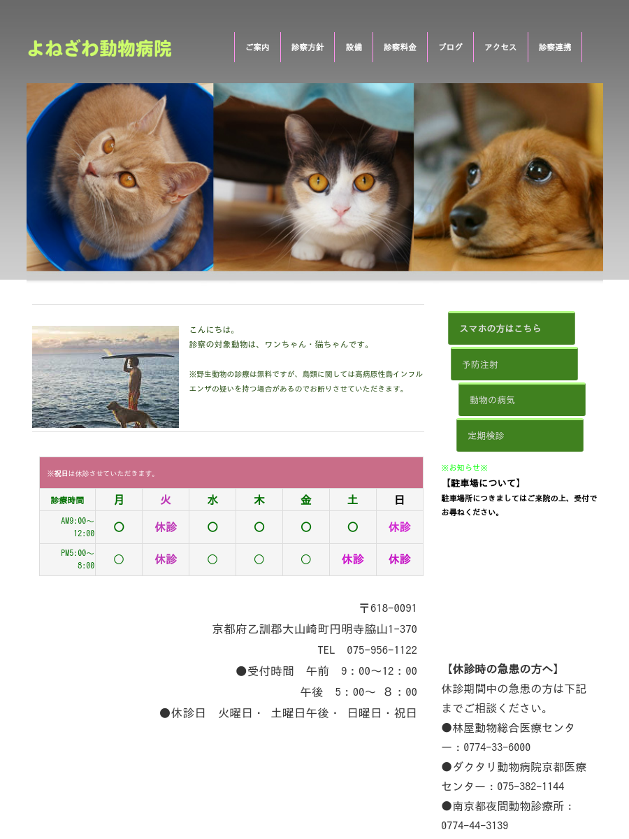 よねざわ動物病院