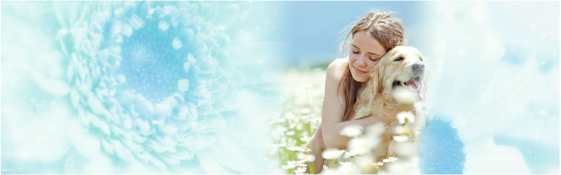 動物病院 草創舎