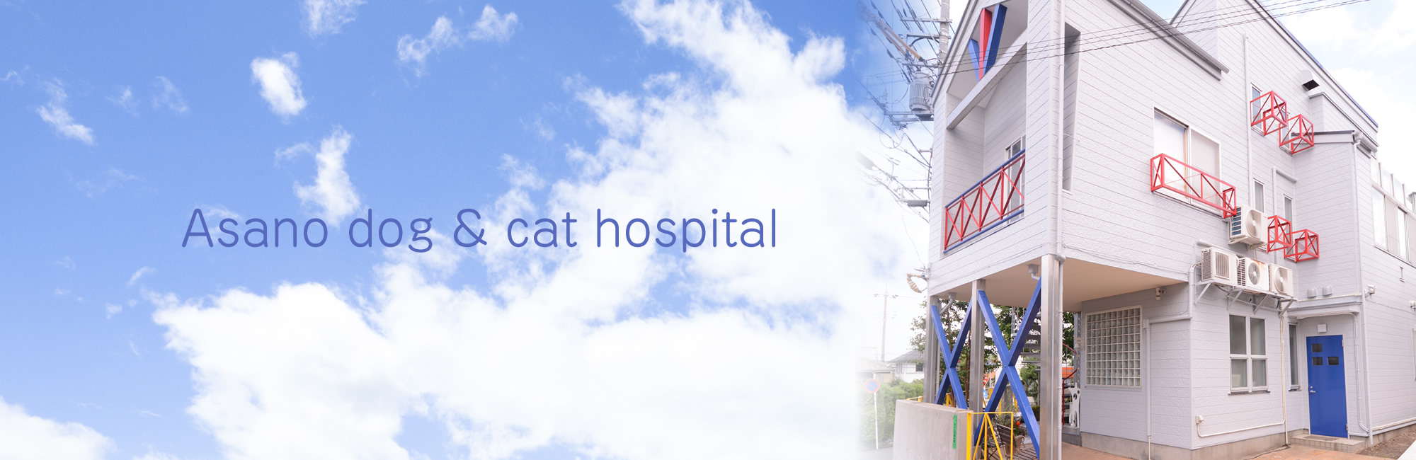 あさの犬猫病院