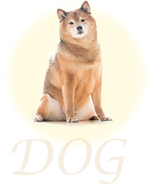 ダンジョー動物病院