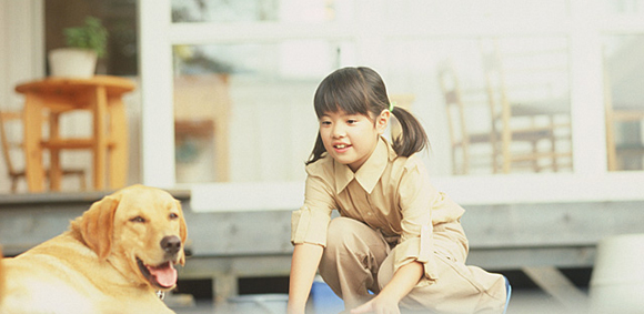 パーシモン動物病院