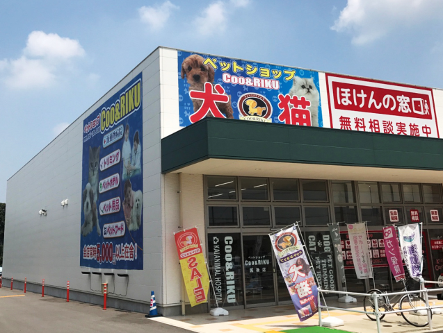 海動物病院　筑後往診所