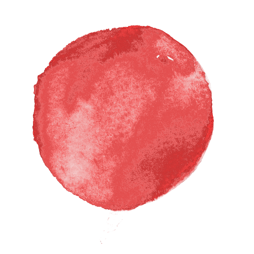 おおぜき動物病院