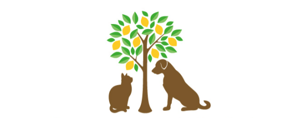 芦屋リモーネ動物病院